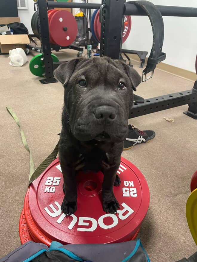 Peninsula Barbell Community